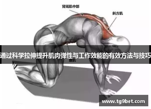 通过科学拉伸提升肌肉弹性与工作效能的有效方法与技巧